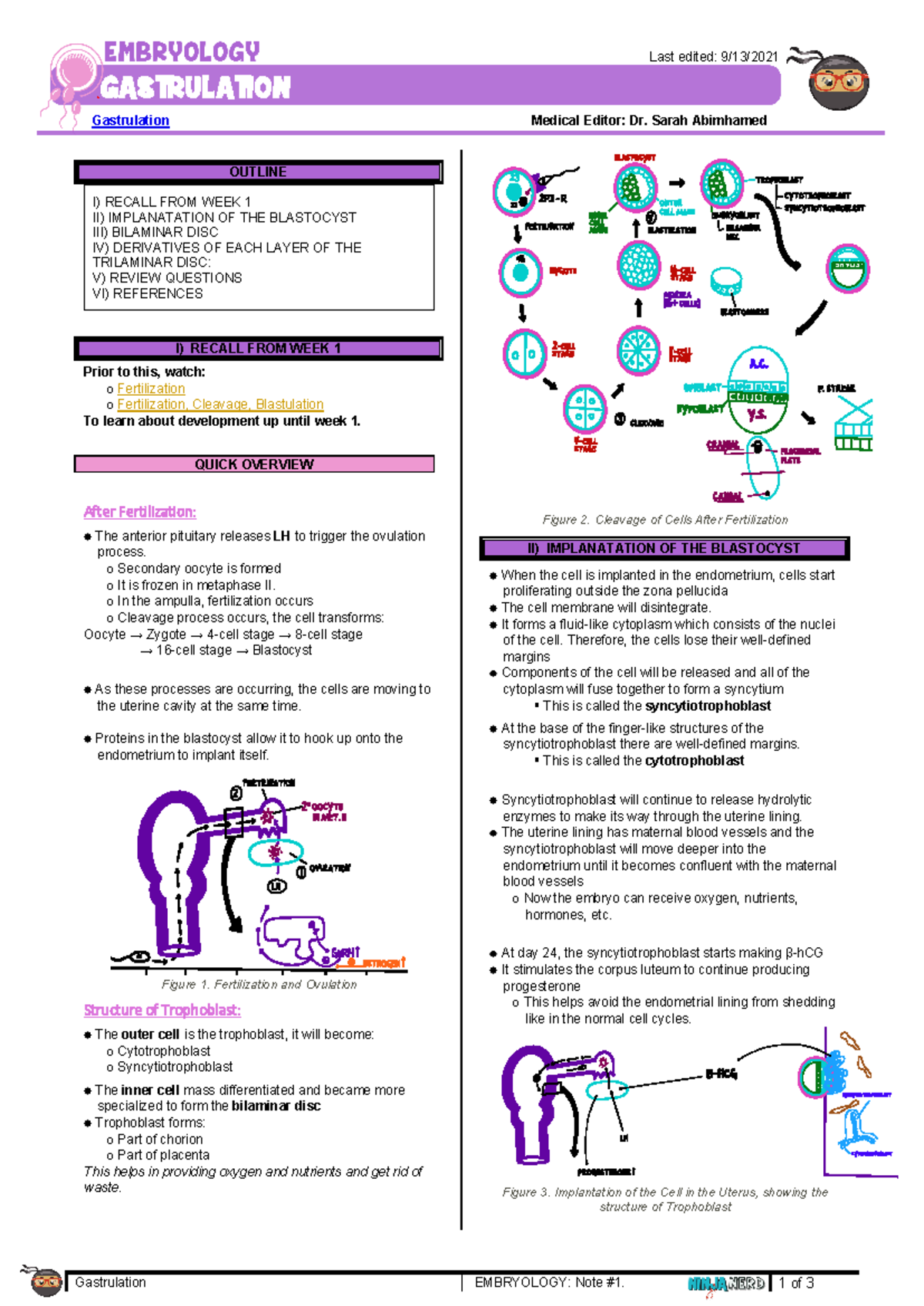 261 - Embryology Physiology] Gastrulation - Gastrulation EMBRYOLOGY ...