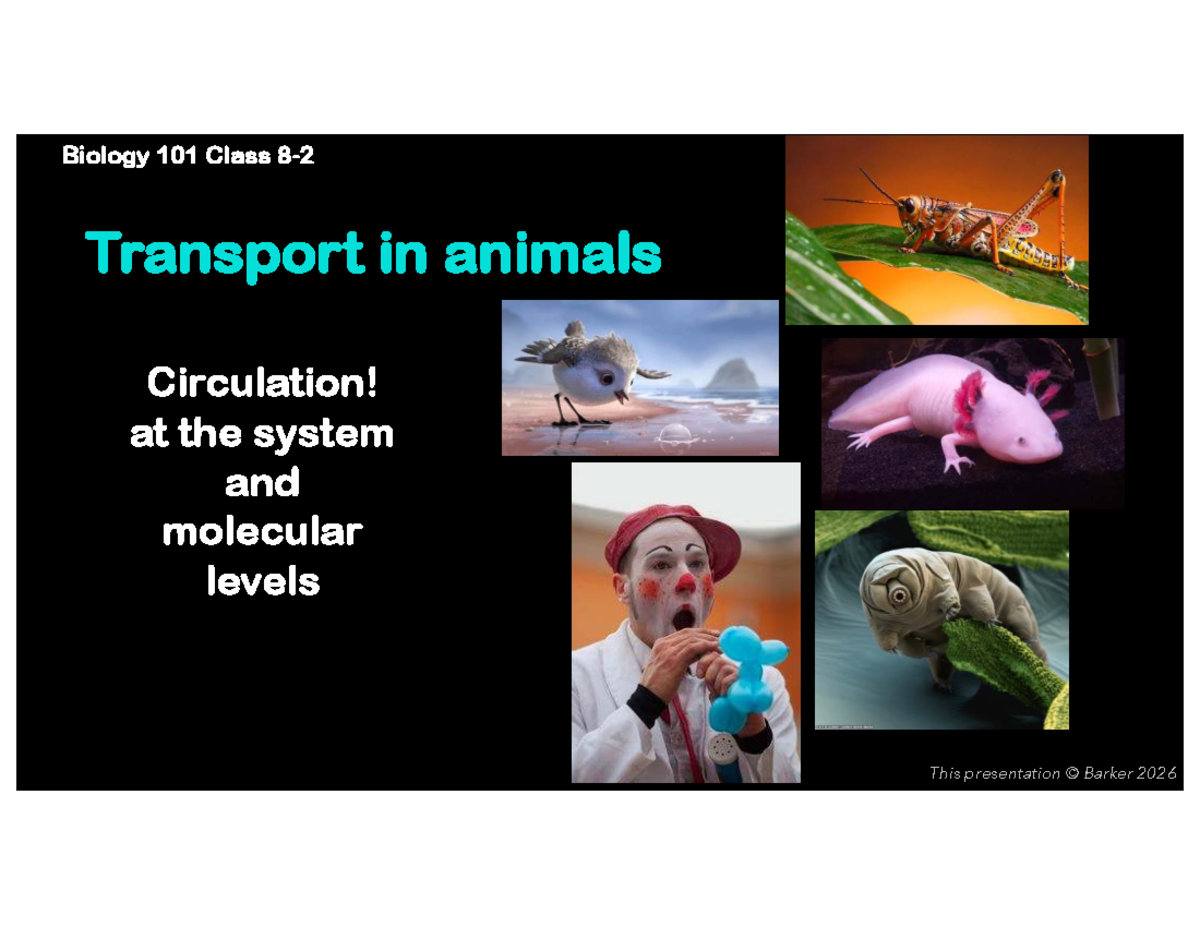BISC101 1261 - Midterm Review: Transport & Circulation in Animals - Studocu