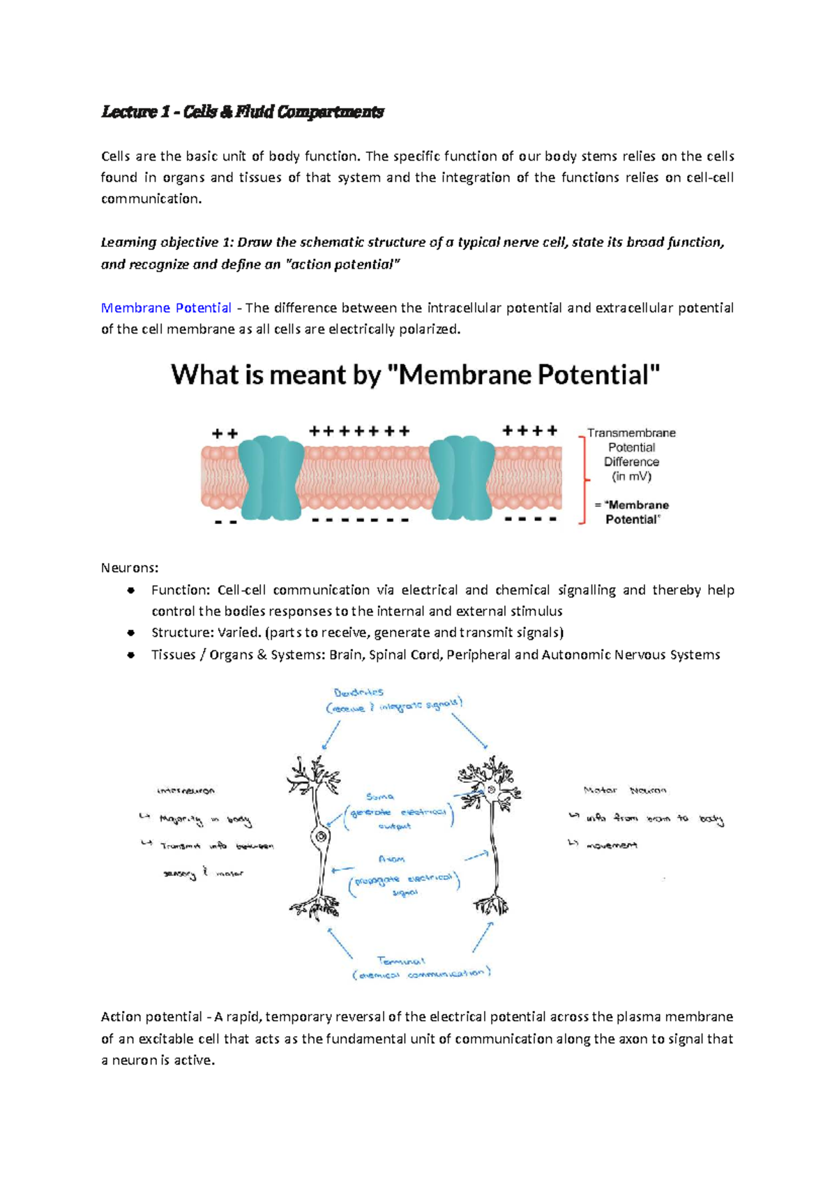Cell Physiology (BIO 101) - Lecture 1: Cells & Fluid Compartments - Studocu