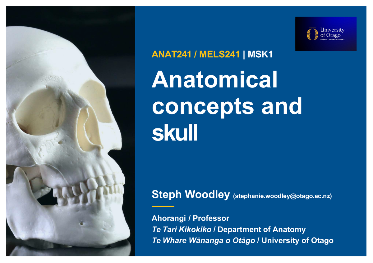 Anatomical Concepts and Features of the Skull | ANAT241/MELS241 ...