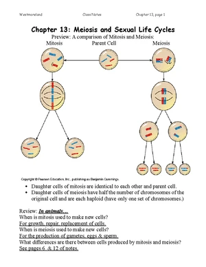 BIOLOGY２Quick Study ACADEMIC 生物学２ QuickStudy | Biology 2 Laminated Study Guide (9781572228269)