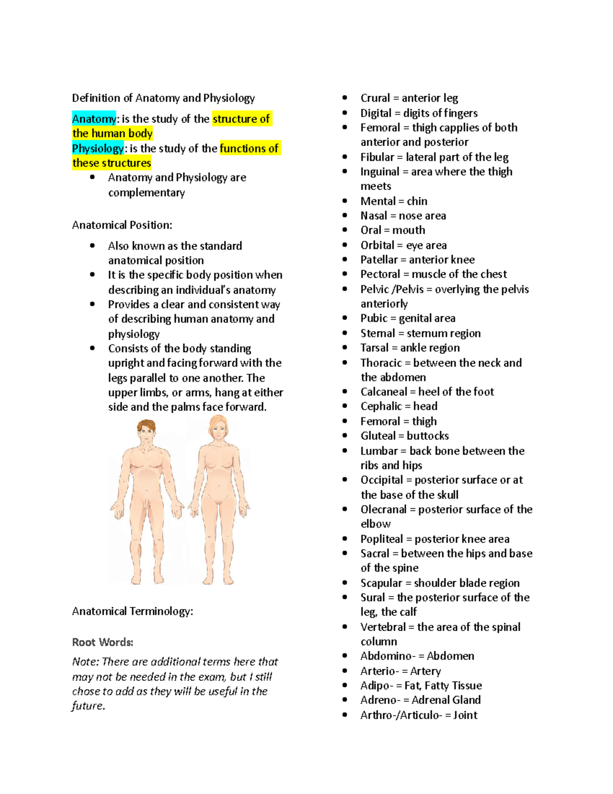 Anaphy- Anatomy and Physiology Comprehensive Review Notes - Studocu