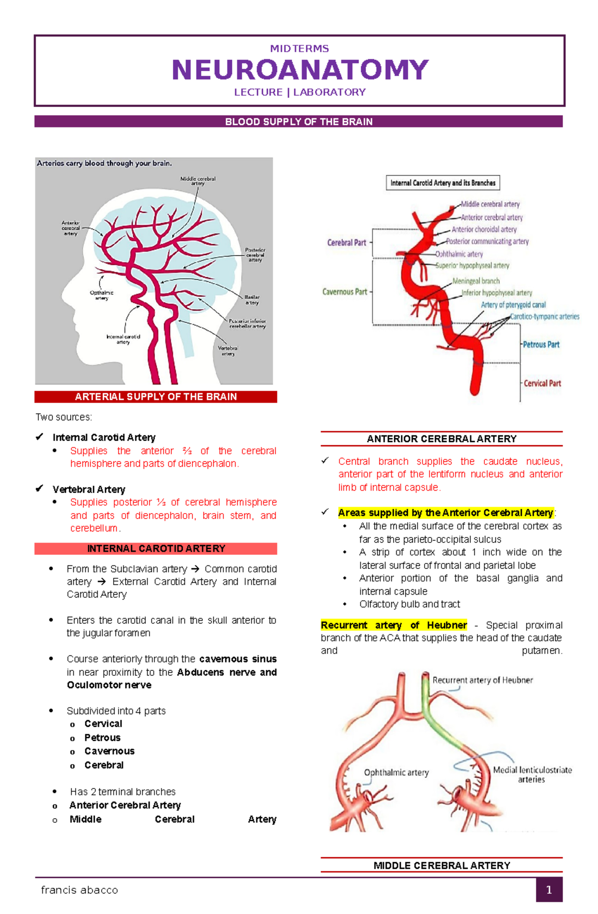 Neuroanatomy: Blood Supply and Circulation in the Brain - Midterm Guide ...