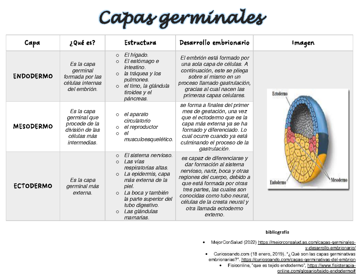 Capas germinales - sistema nervioso - Capas germinales bibliografía ...