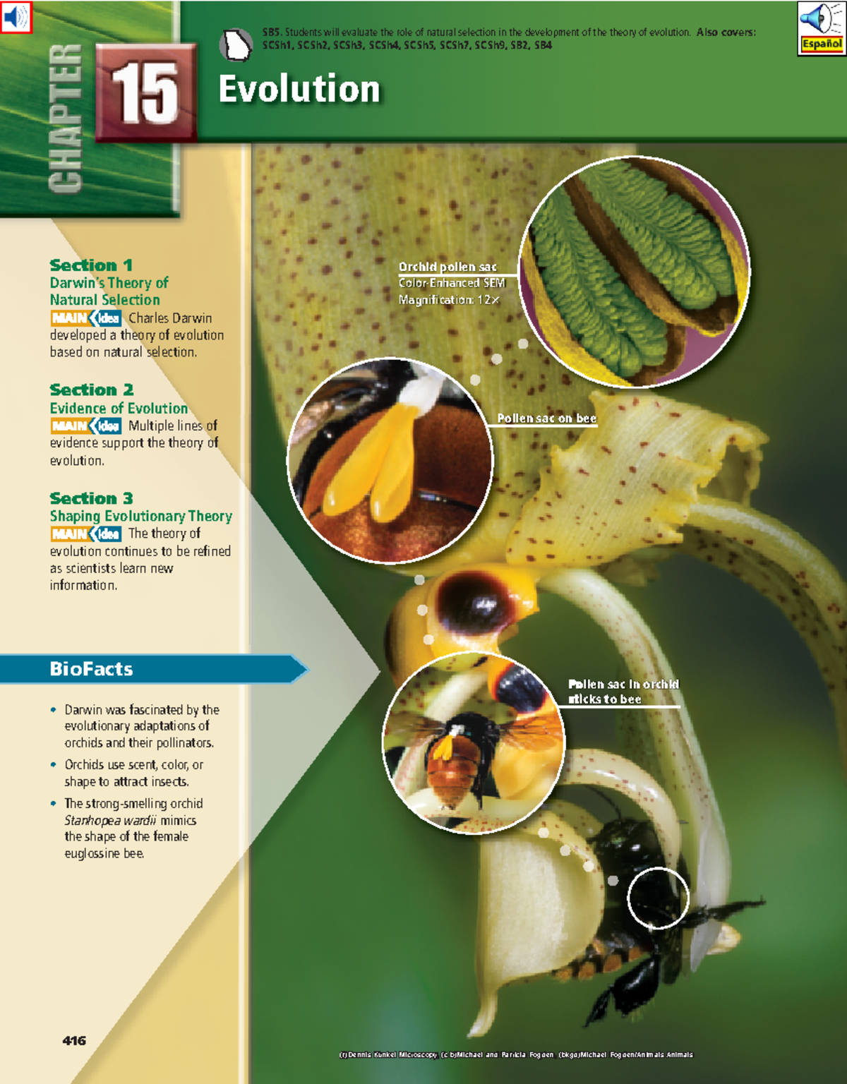 Ch15 Evolution-pages-1 - Evolution Section 1 Darwin’s Theory of Natural ...