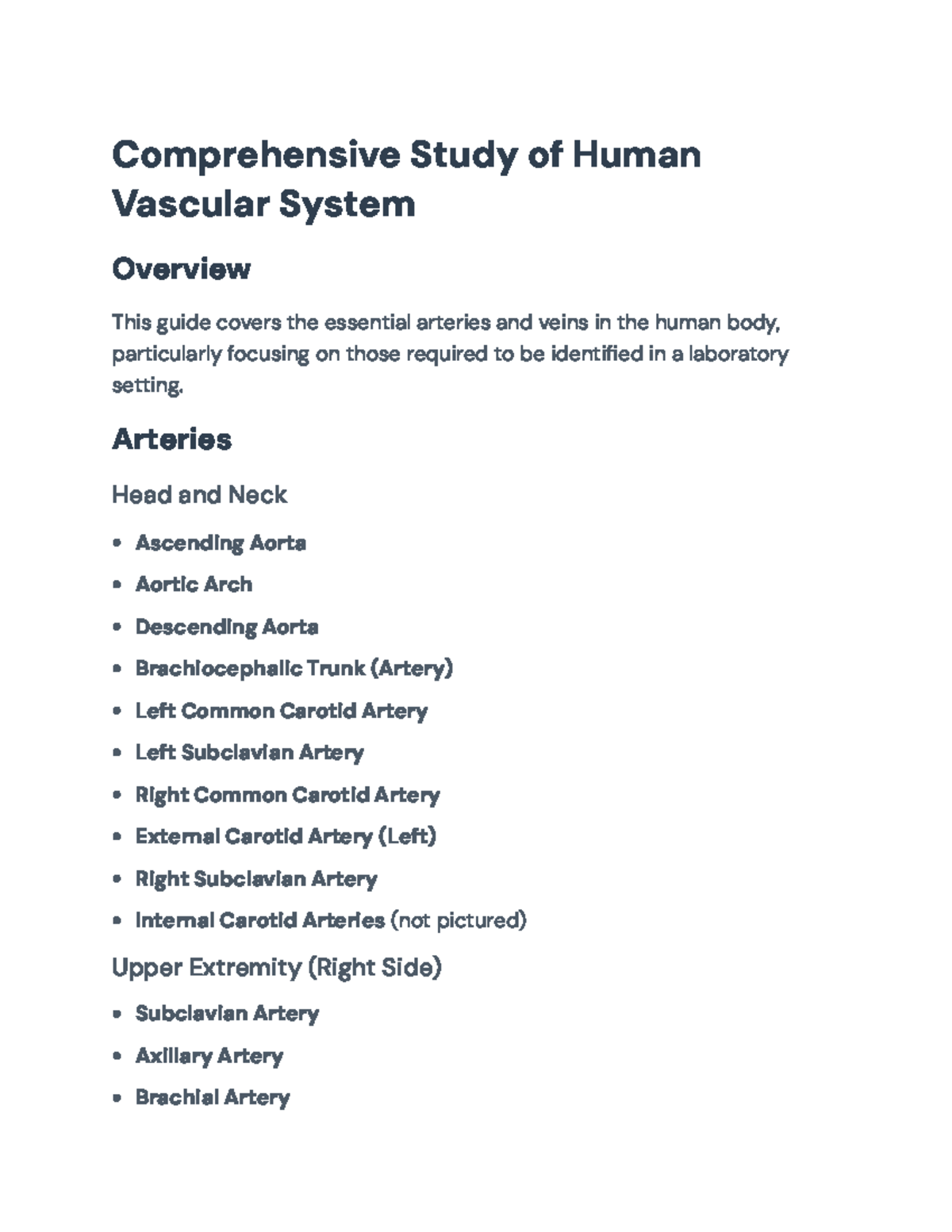 Vascular System Identification Guide for Anatomy Lab (BIO101 ...