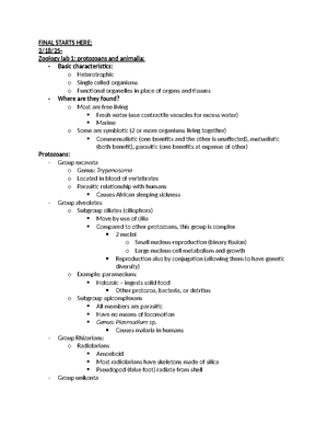 Zoology Study Guide: Classification & Anatomy of Animal Phyla - Studocu