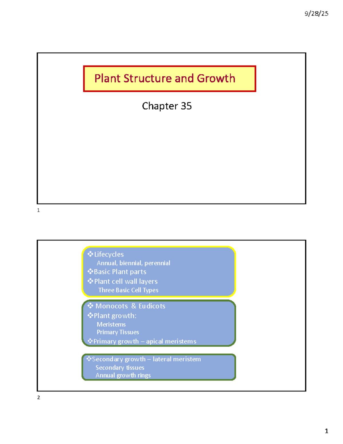 Plant Structure and Growth: Chapter 35 Review Notes (Bio 131) - Studocu