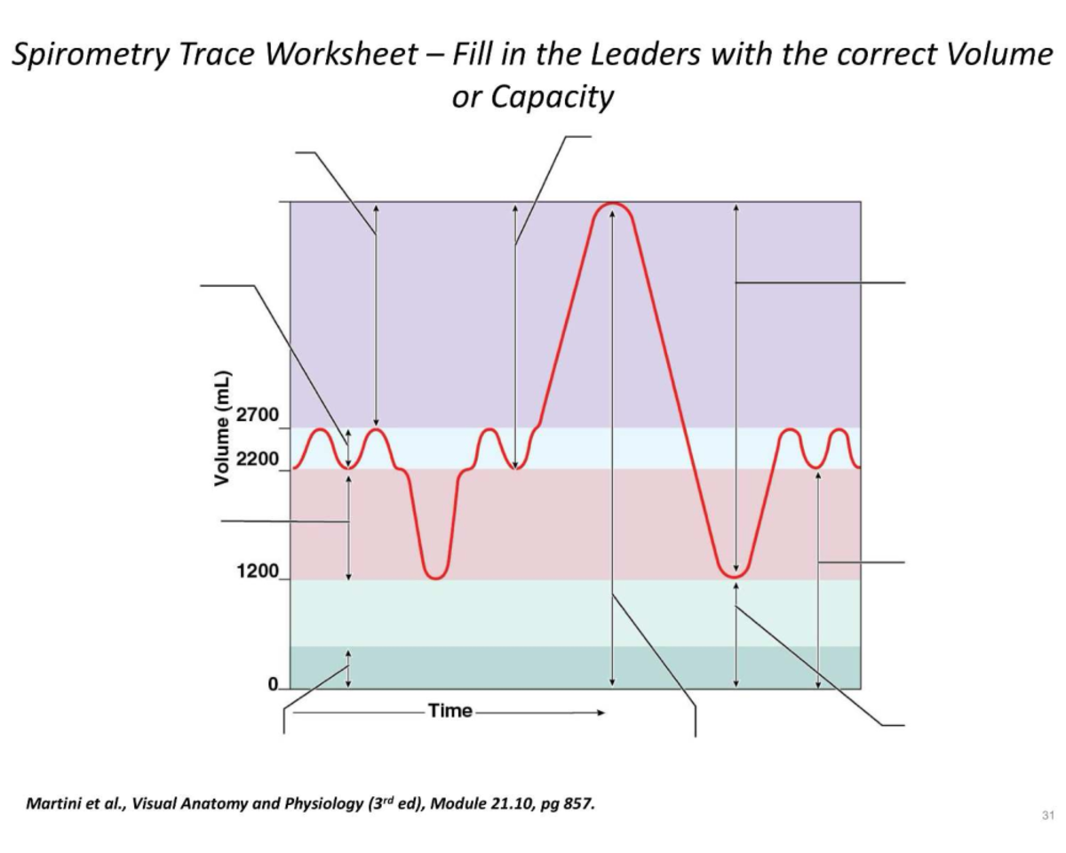 Spirometry Trace Labelling Activity - Human Body Systems 2 - Spirometry ...