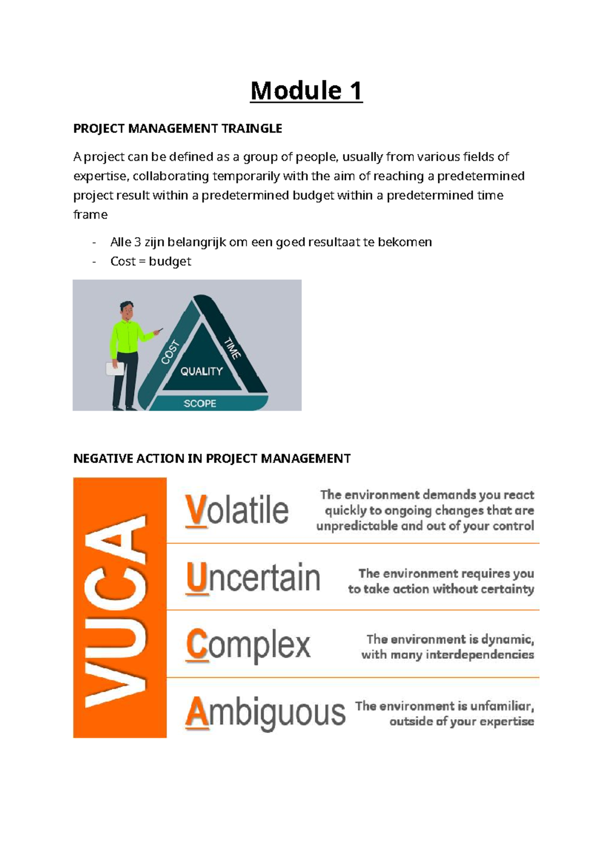 Project Management Triangle: Key Concepts and Methodologies (PM101 ...