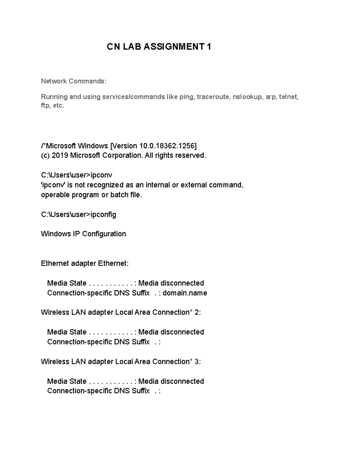 CN Assignment 1 - fdfsgdfg - CN LAB ASSIGNMENT 1 Network Commands ...