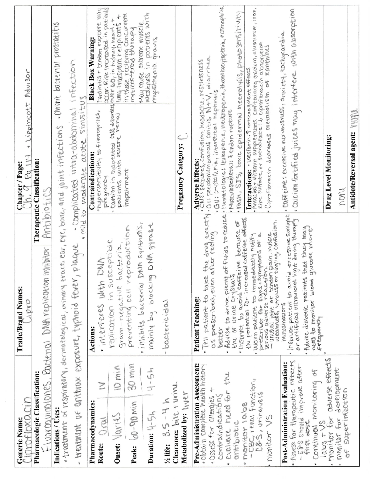 Chapter 34: Urinary Elimination Visual Study Guide on Normal Voiding ...