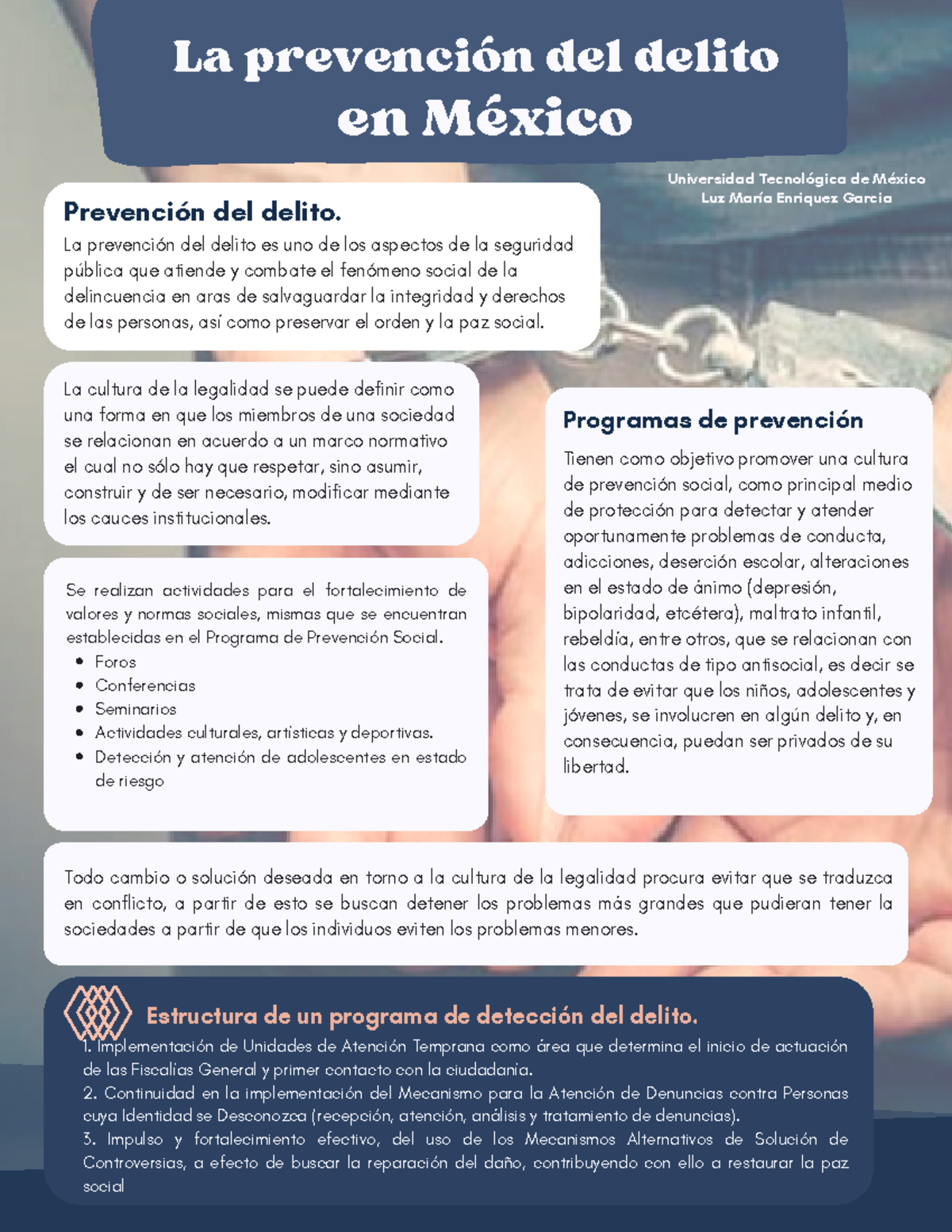 Prevención del Delito en México: Estrategias y Mecanismos de Solución ...