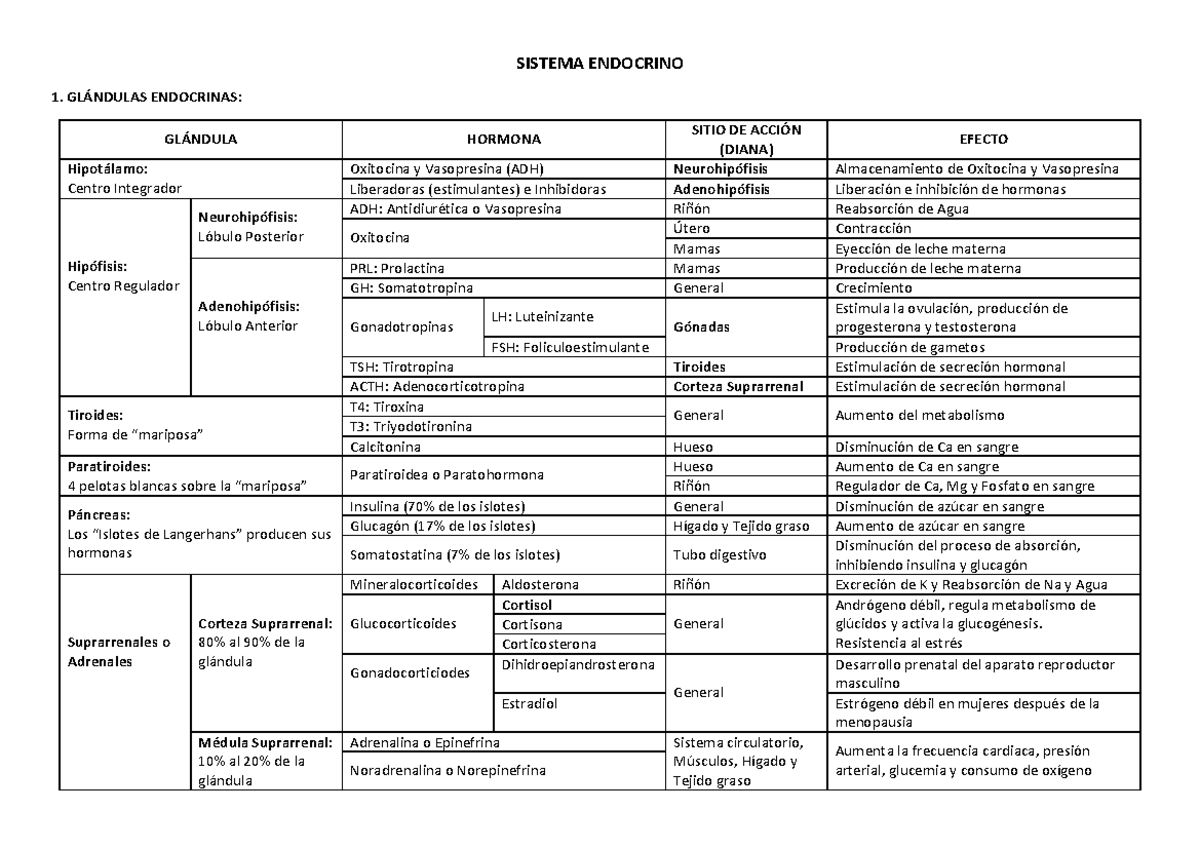 SISTEMA ENDOCRINO: GLÁNDULAS Y HORMONAS CLAVE - Studocu