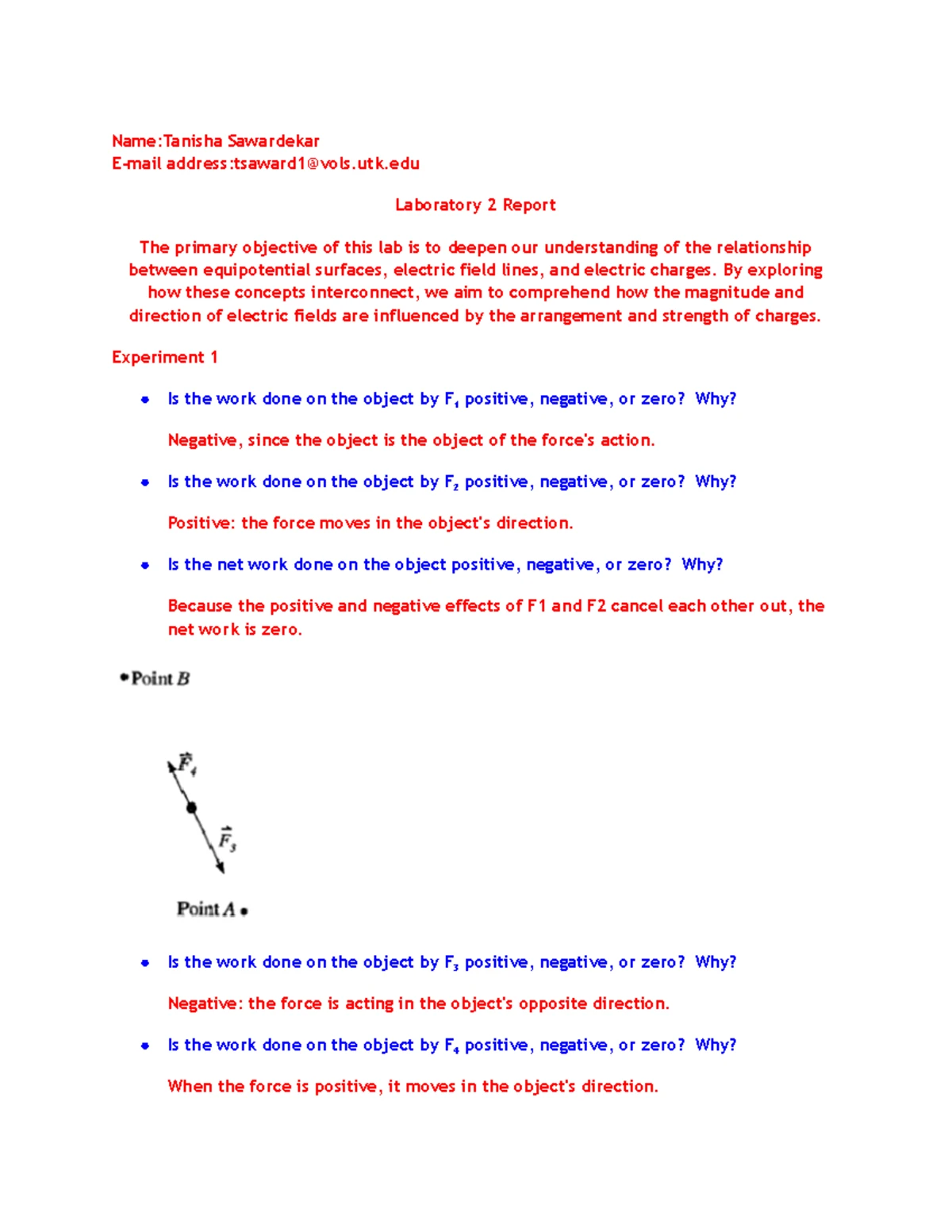 Tanisha Lab 2 Report: Exploring Electric Fields & Equipotential ...