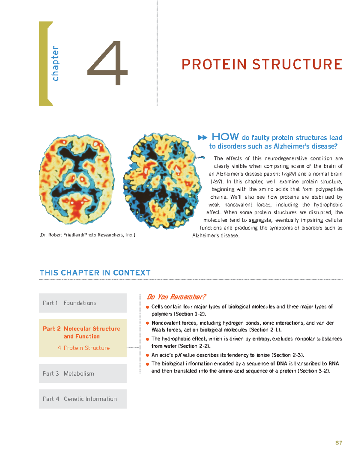 Chapter 4: Protein Structure and Its Role in Disease Mechanisms (BIO ...