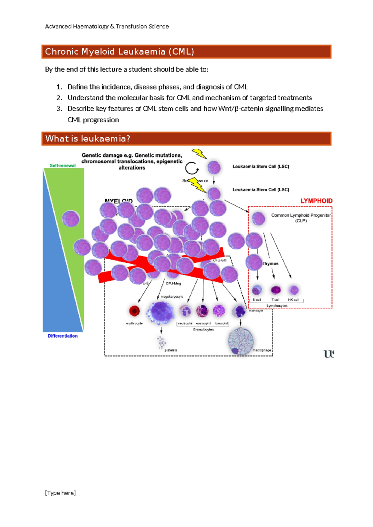 Week 3 L2 - Detail notes - Chronic Myeloid Leukaemia (CML) By the end ...