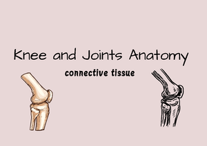 Anatomy of the Knee: Comprehensive Overview of Structures & Functions ...