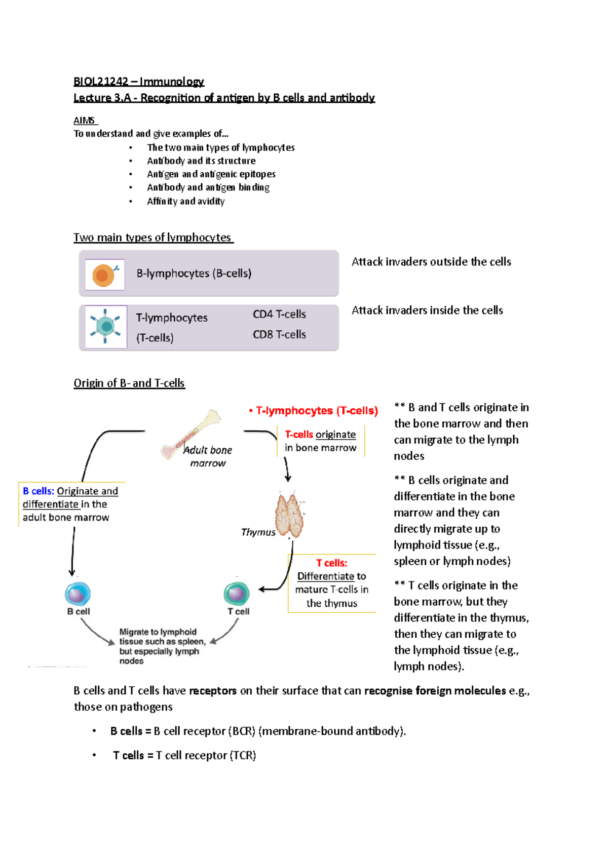Lecture 3.A - Recognition of antigen by B cells and antibody ...