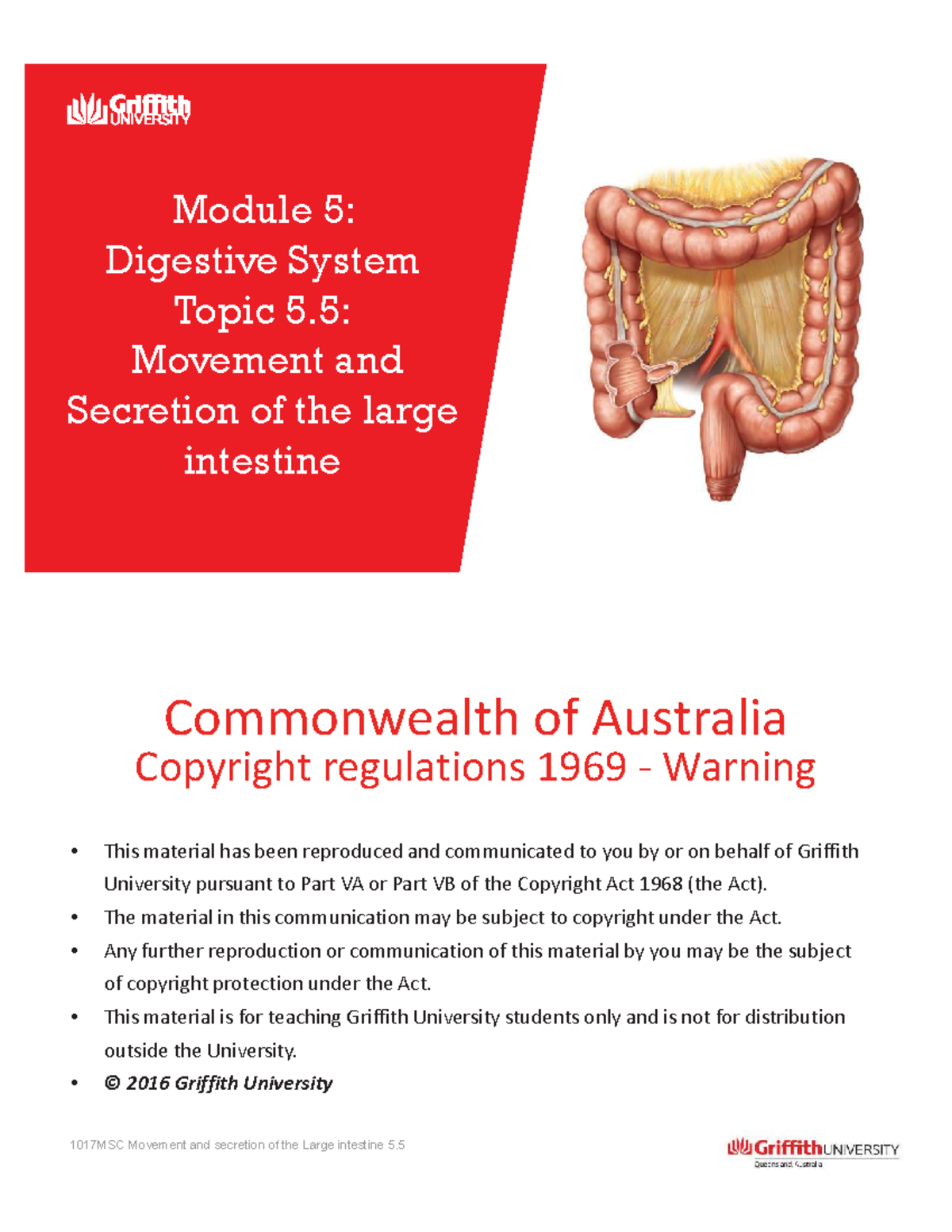 1017MSC Module 5.5: Large Intestine Movement & Secretion Overview - Studocu