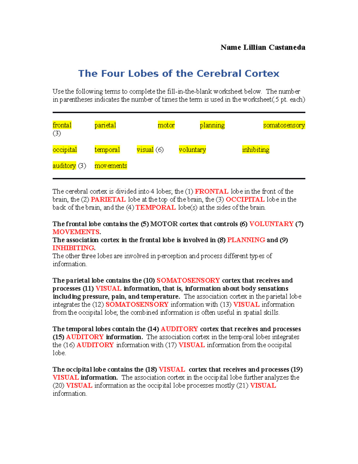 2 The Four Lobes - Lillian Castaneda - Name Lillian Castaneda The Four ...