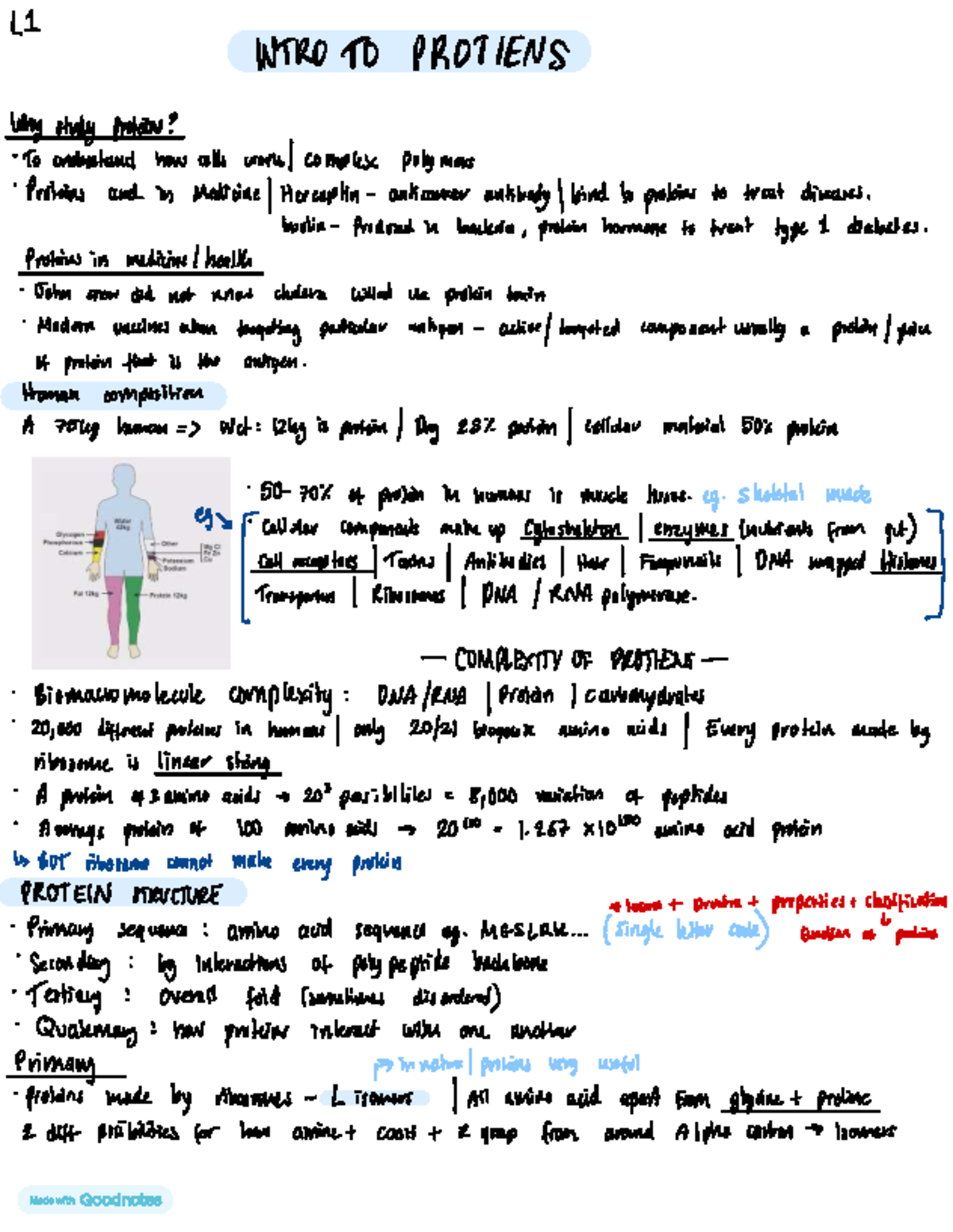 Biochemistry S1 - Lecture Notes on Protein Structure and Function - Studocu