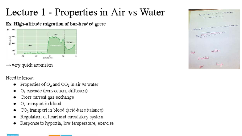 ZOO*3620 Lecture Notes: Properties of Gases in Air vs Water - Studocu