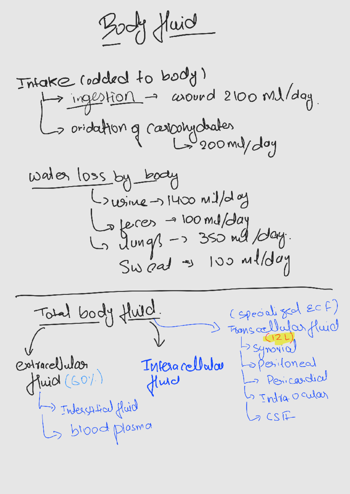 body fluids personal notes - Body fluid Intake codded to body ...