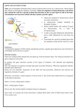 Solved Carbohydrates Composition Starches Sugar Cellulose Bachelor