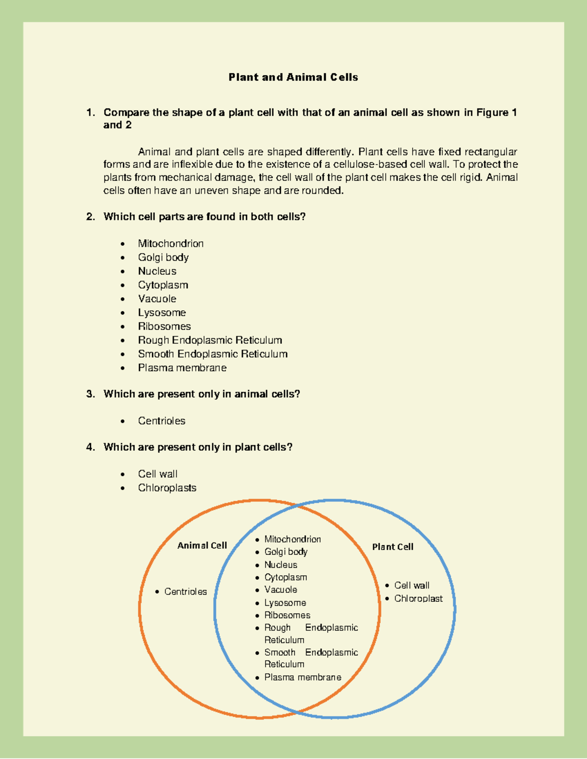 Comparative Study of Plant and Animal Cells (Bio 101) - Studocu