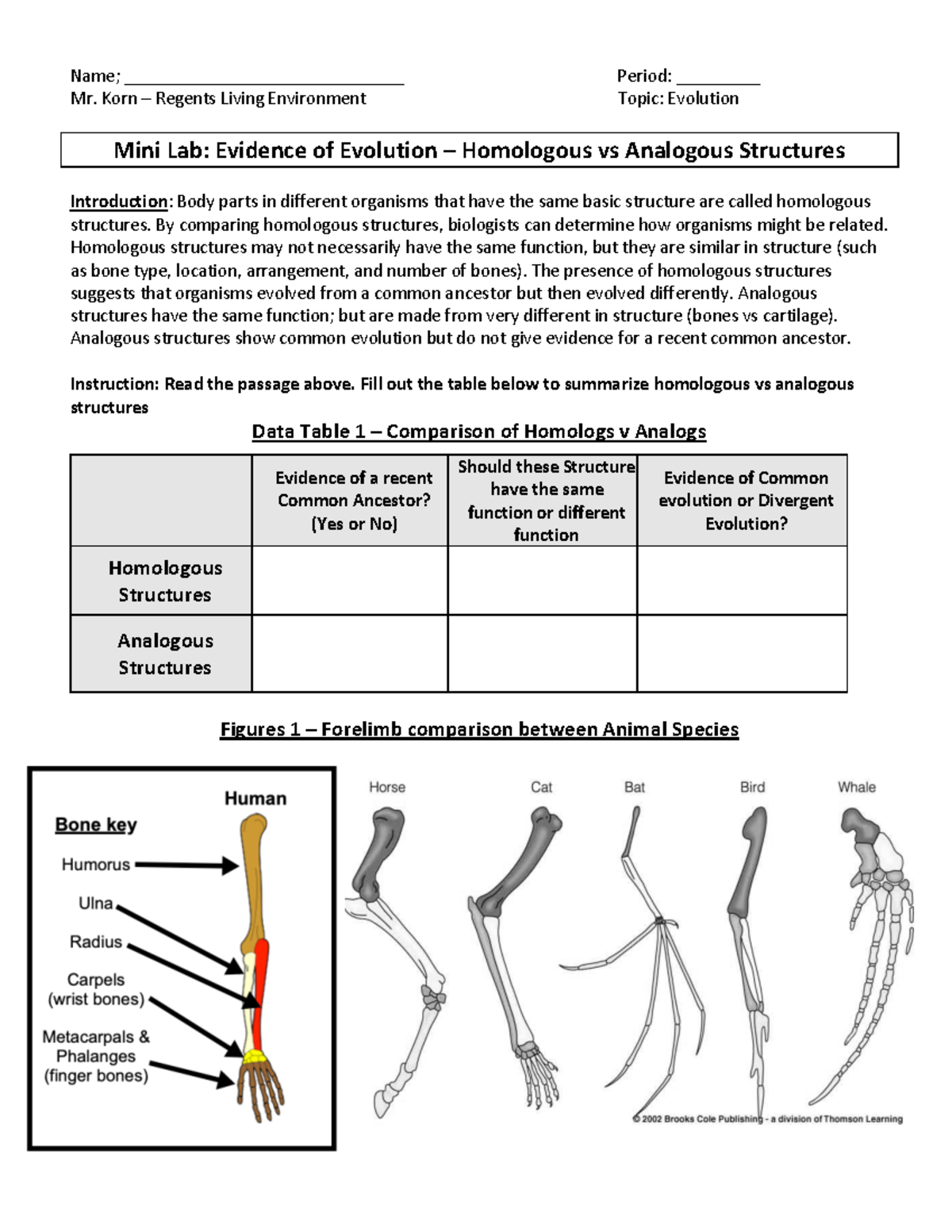 Mini Lab: Evolution - Homologous vs Analogous Structures Analysis - Studocu, image size:1200x1553
