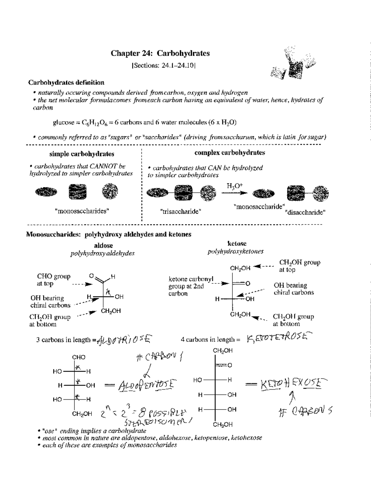 Carbohydrates Basics: Comprehensive Study Notes - Studocu