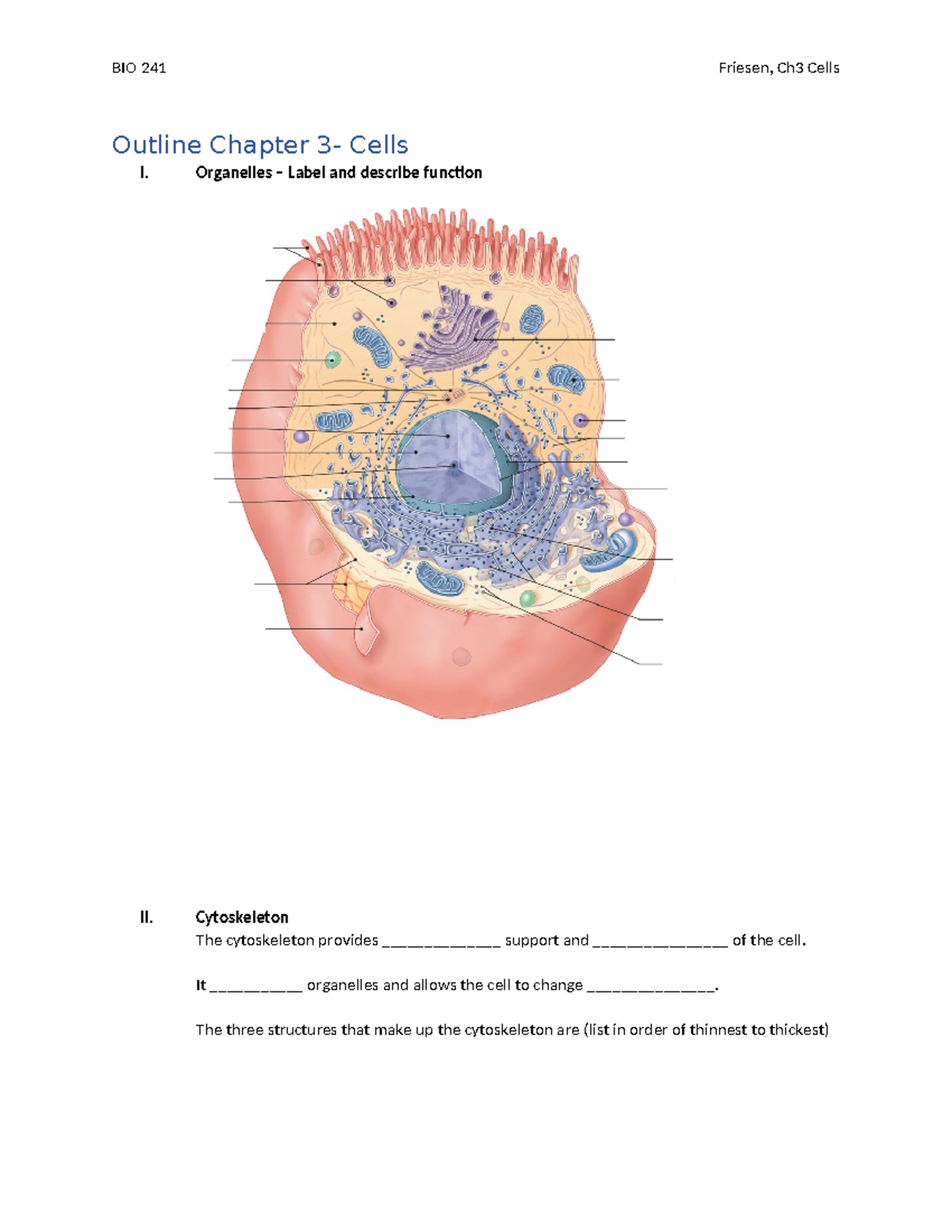 BIO 241 Final Exam Study Guide: Chapter 3 - Cells and Organelles - BIO ...