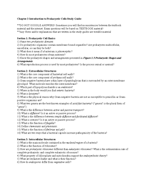 Genetics Study Guide for Chapter 5: Heredity, DNA & Protein Synthesis ...