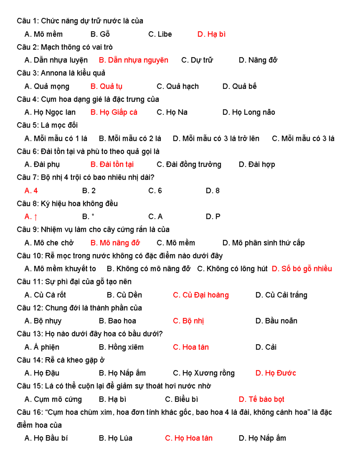 Ôn Thi Thực Vật Dược - ON THI TVD 202 - Document Preview