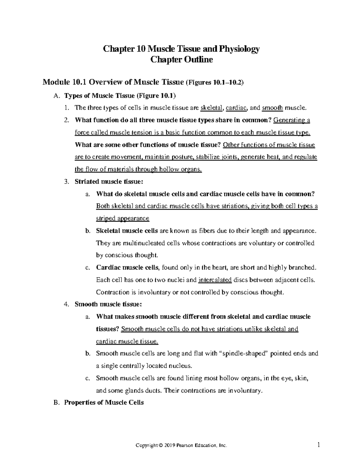 Muscle Tissue and Physiology: Structure, Contraction, and Function ...