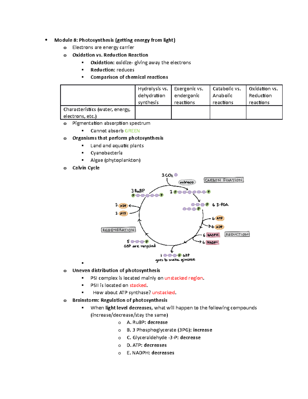 BIO Lecture M8 Notes: Photosynthesis Concepts & Mechanisms - Studocu