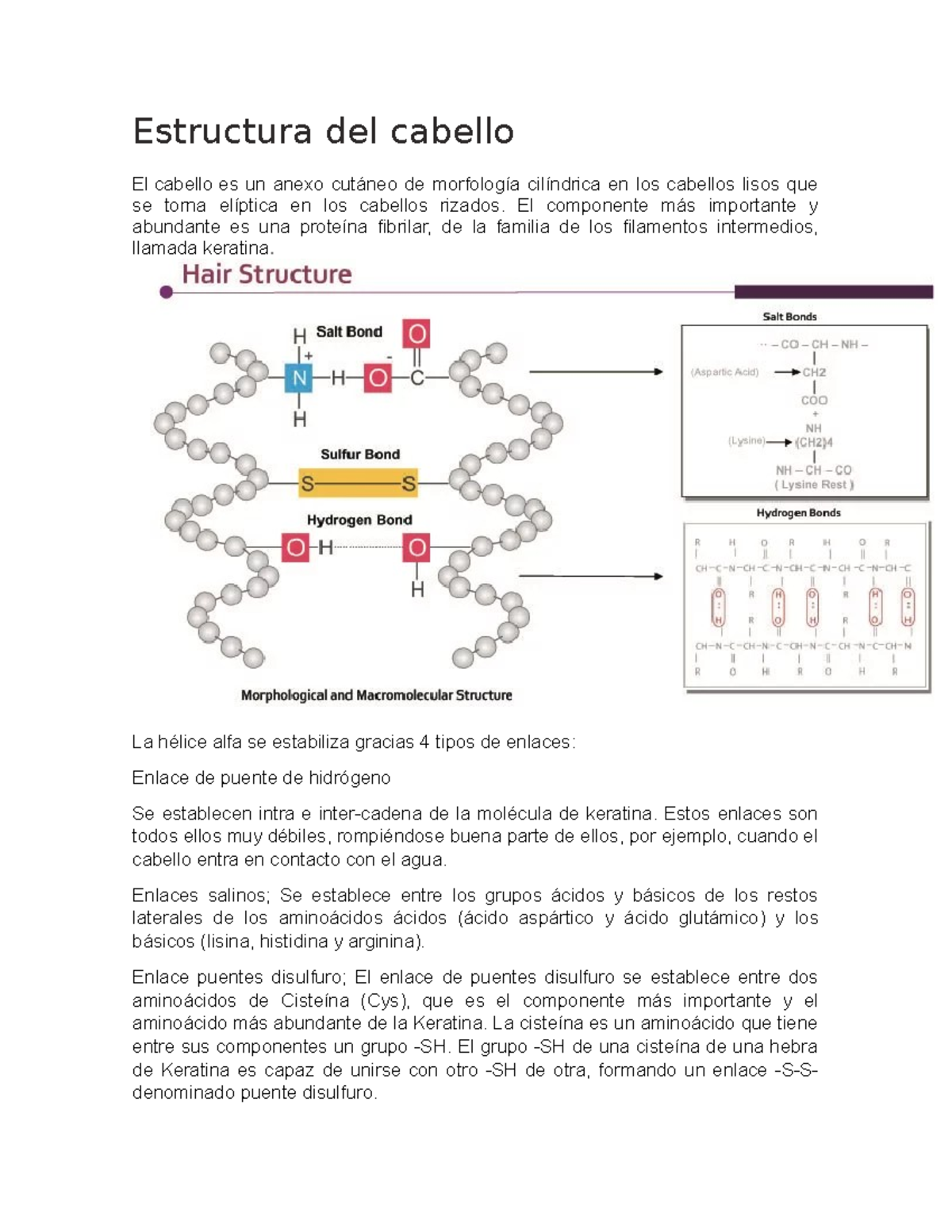 Estructura del Cabello: Componentes y Enlaces en la Keratina - Studocu