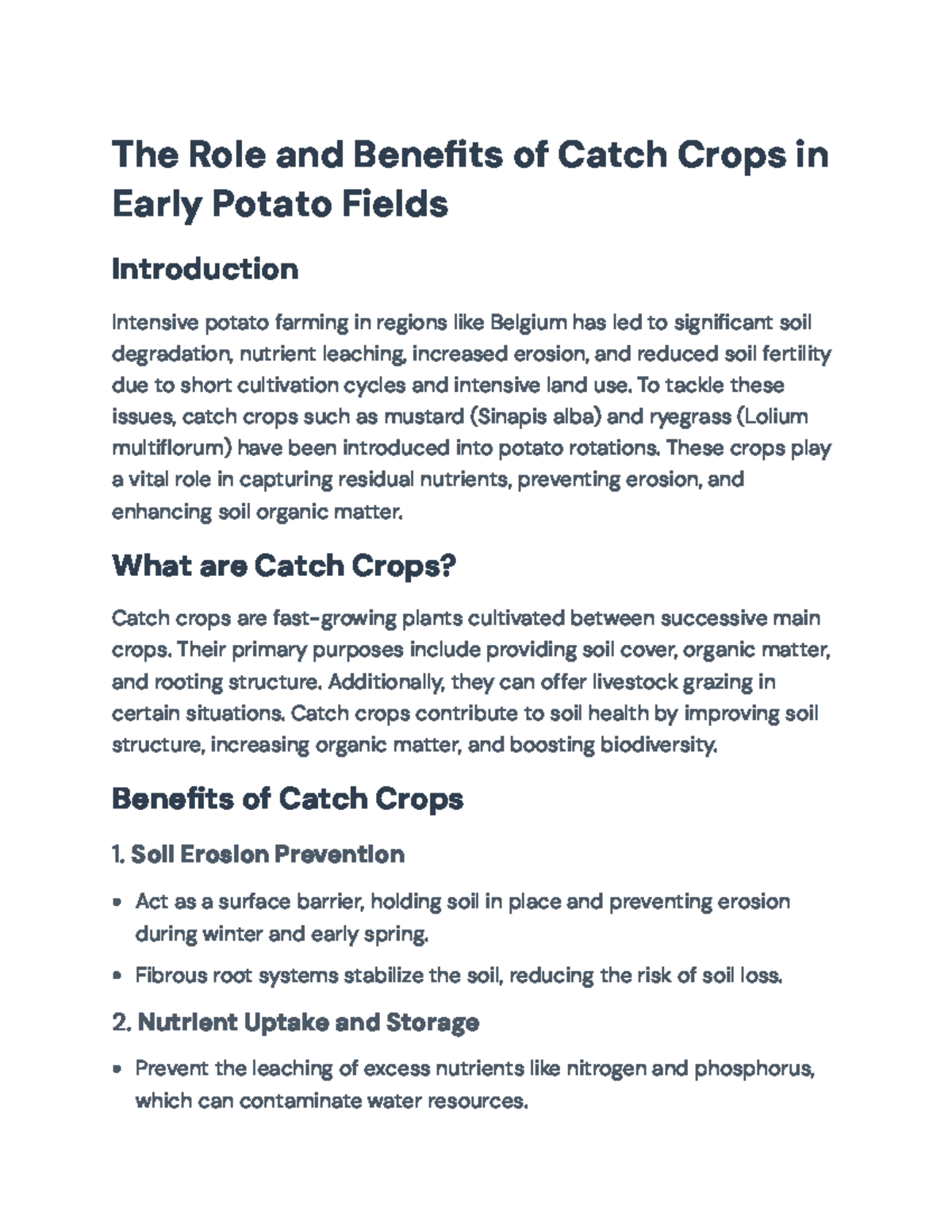 The Role and Benefits of Catch Crops in Intensive Potato Farming - The ...