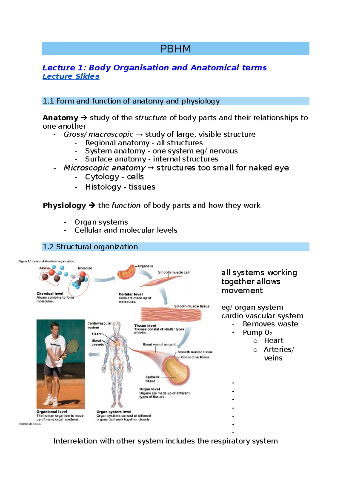 PBHM Lecture Notes: Body Organization, Anatomy, and Physiology Overview ...