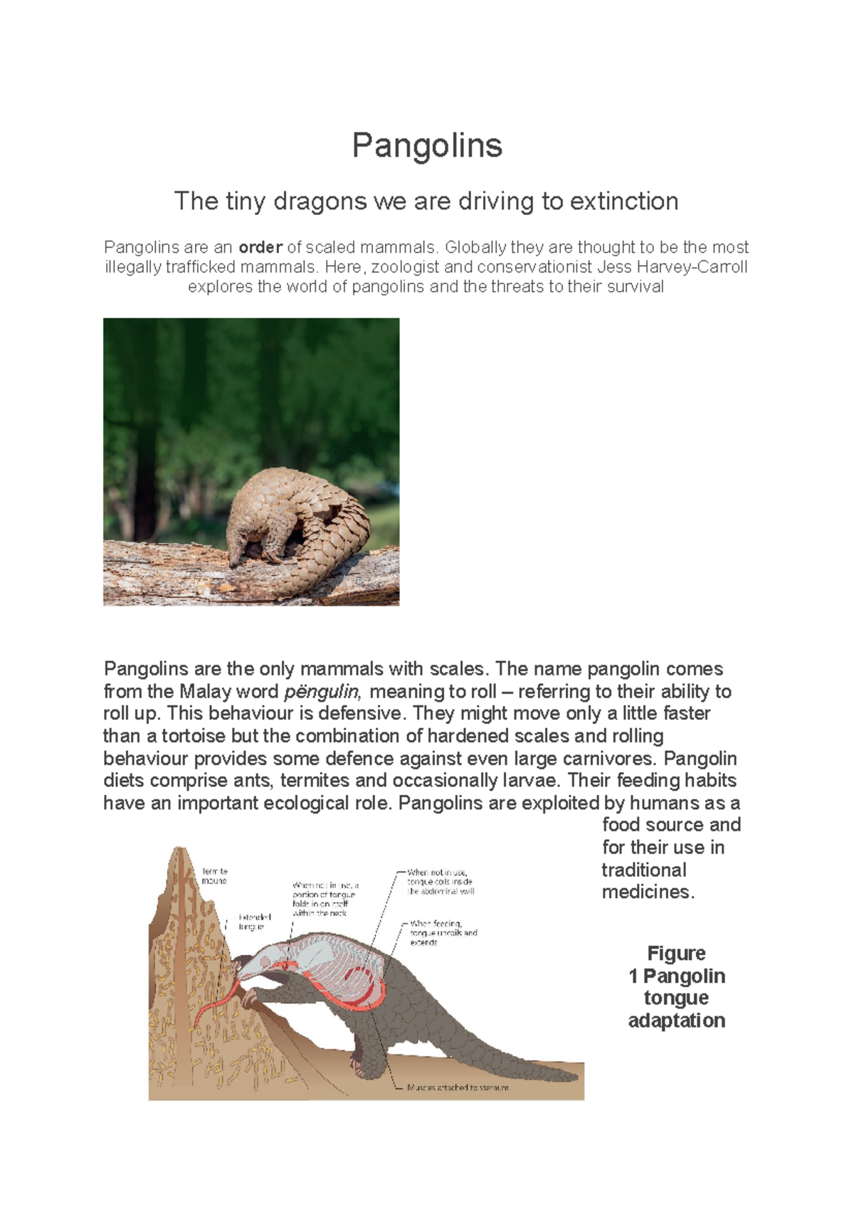 Literacy Pangolins: Understanding the Threats to Their Survival - Studocu