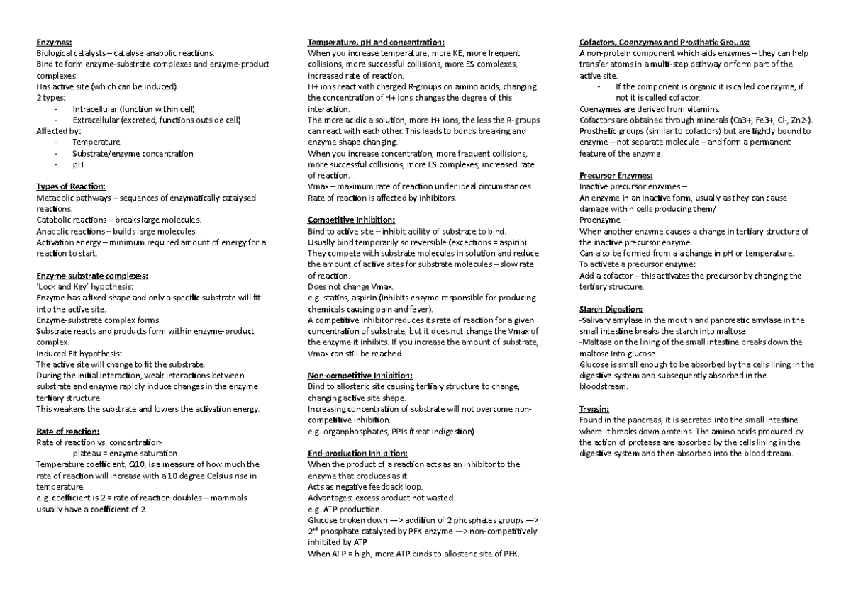 OCR A Level Enzymes - Comprehensive Study Notes - Studocu
