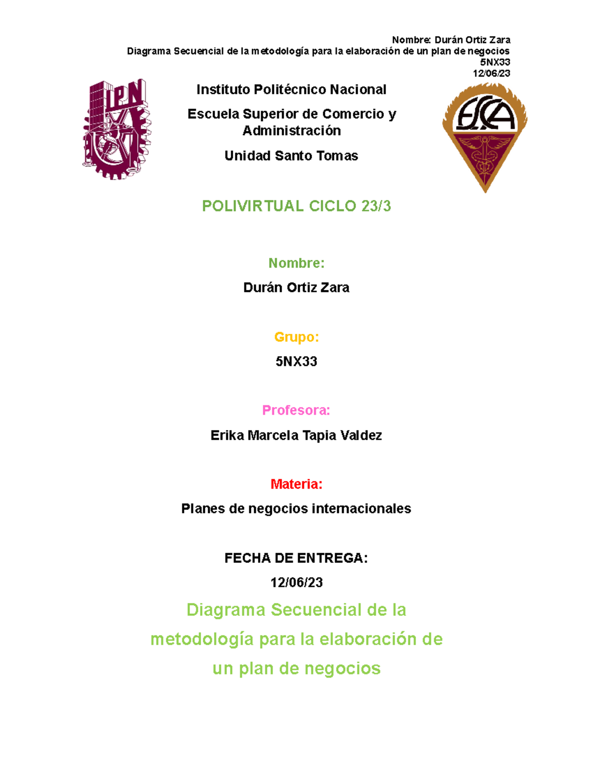 Diagrama Secuencial para Elaborar un Plan de Negocios - 5NX - Document Preview