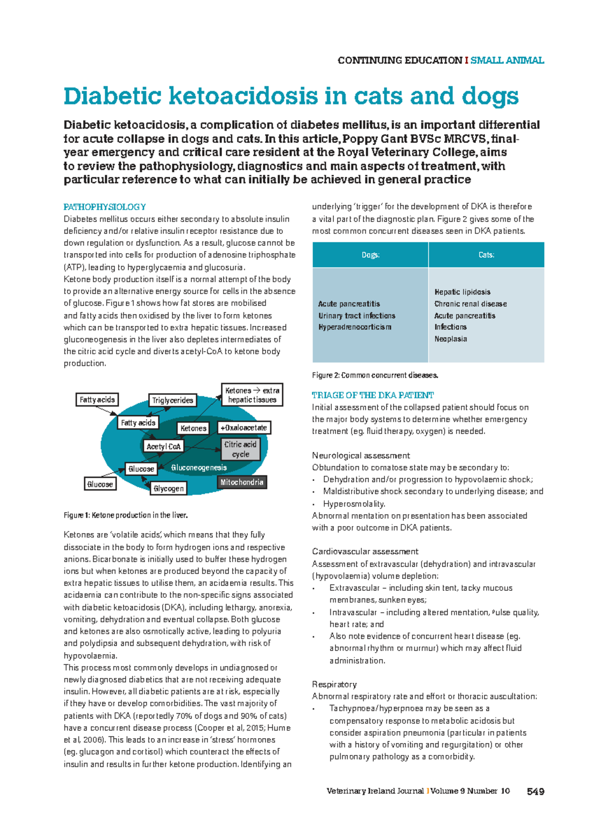 019 DKA in Small Animals: Understanding Diabetic Ketoacidosis in Dogs ...