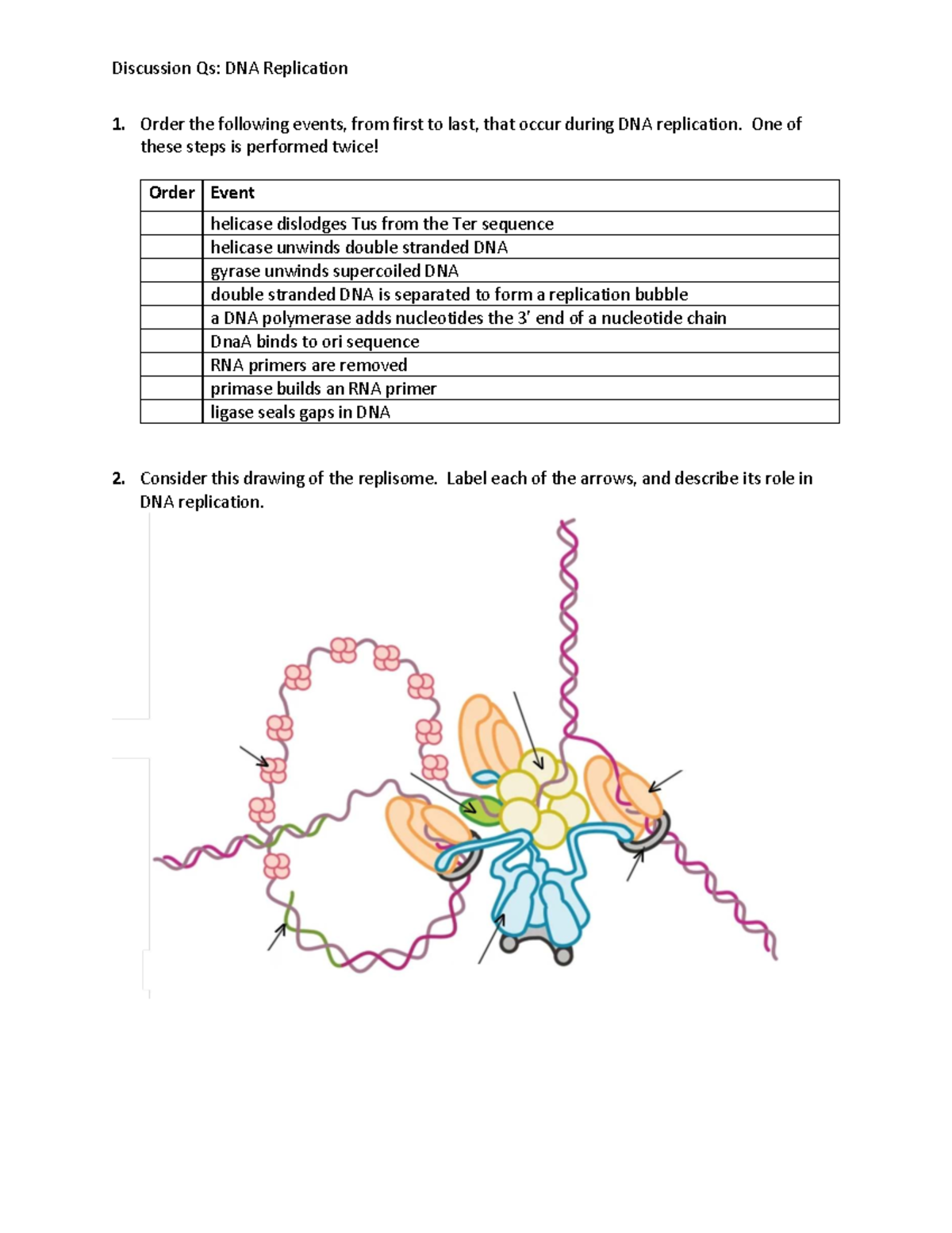 Week 11 Discussion: DNA Replication Practice Problems & PCR Techniques ...