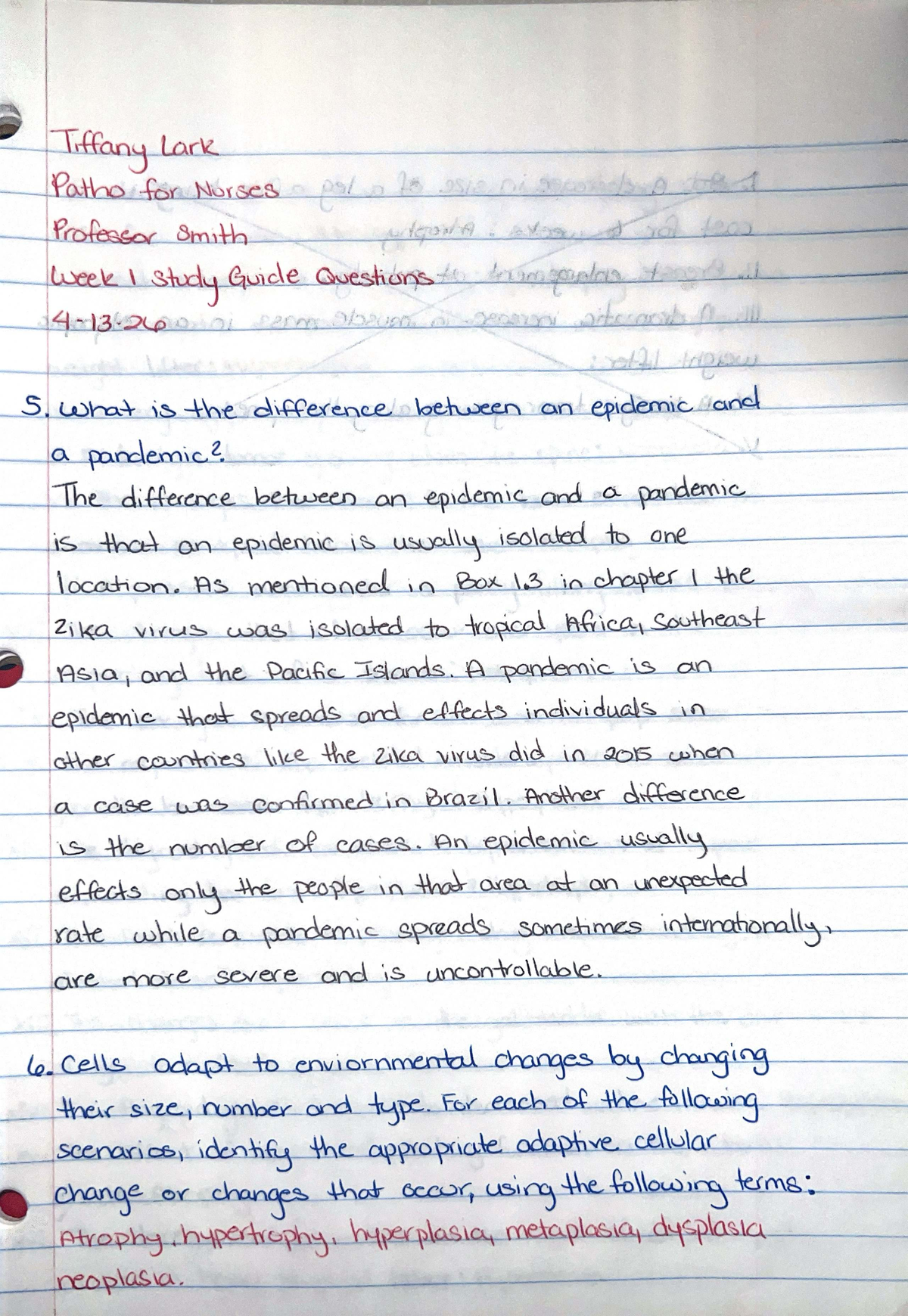 Patho Study Guide: Key Concepts and Review Notes - Studocu