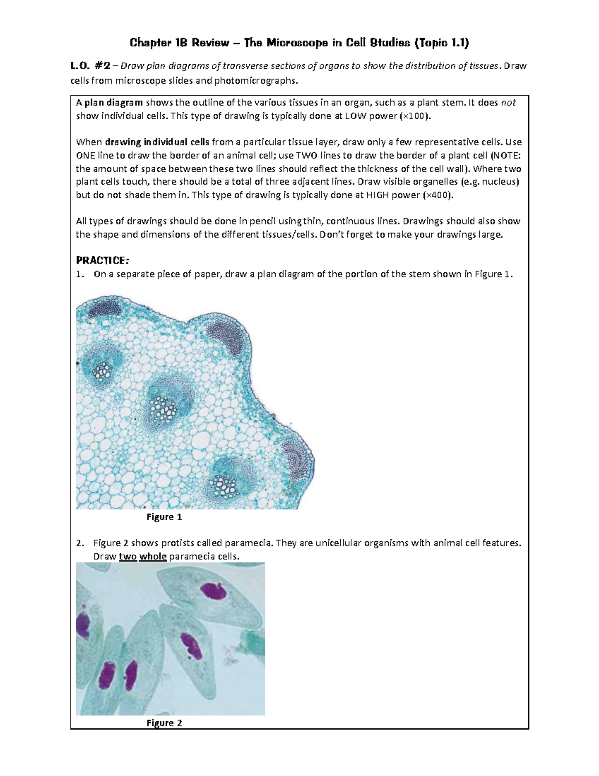 Chapter+1B+Review+-+Paper+2+Exam - Chapter 1B Review – The Microscope ...