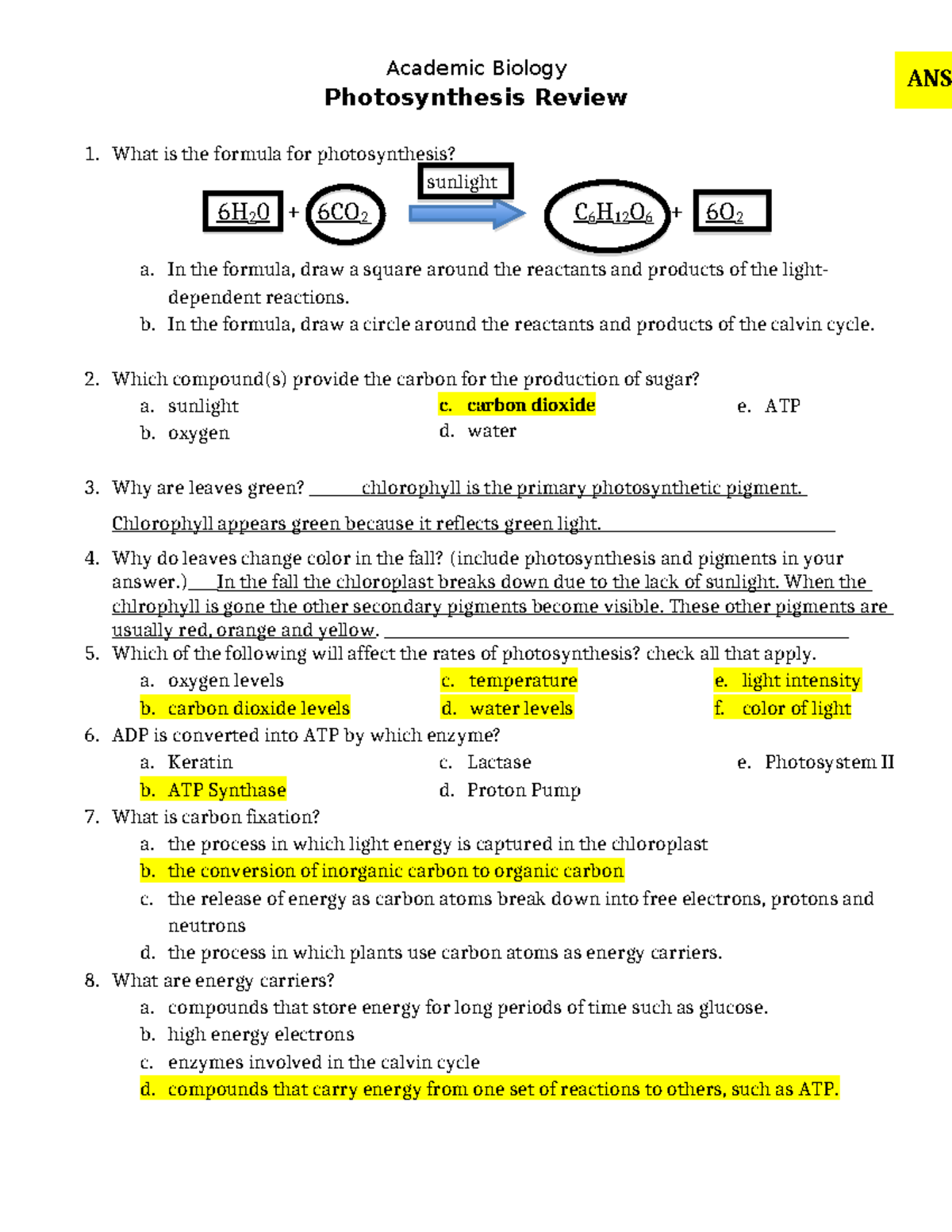 Photosynthesis Review WS Academic Key - Academic Biology Photosynthesis ...