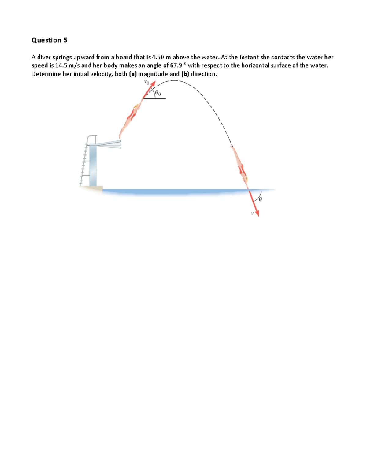 Q5 2D kinematics - practice questions - Phys 111 - Question 5 A diver ...
