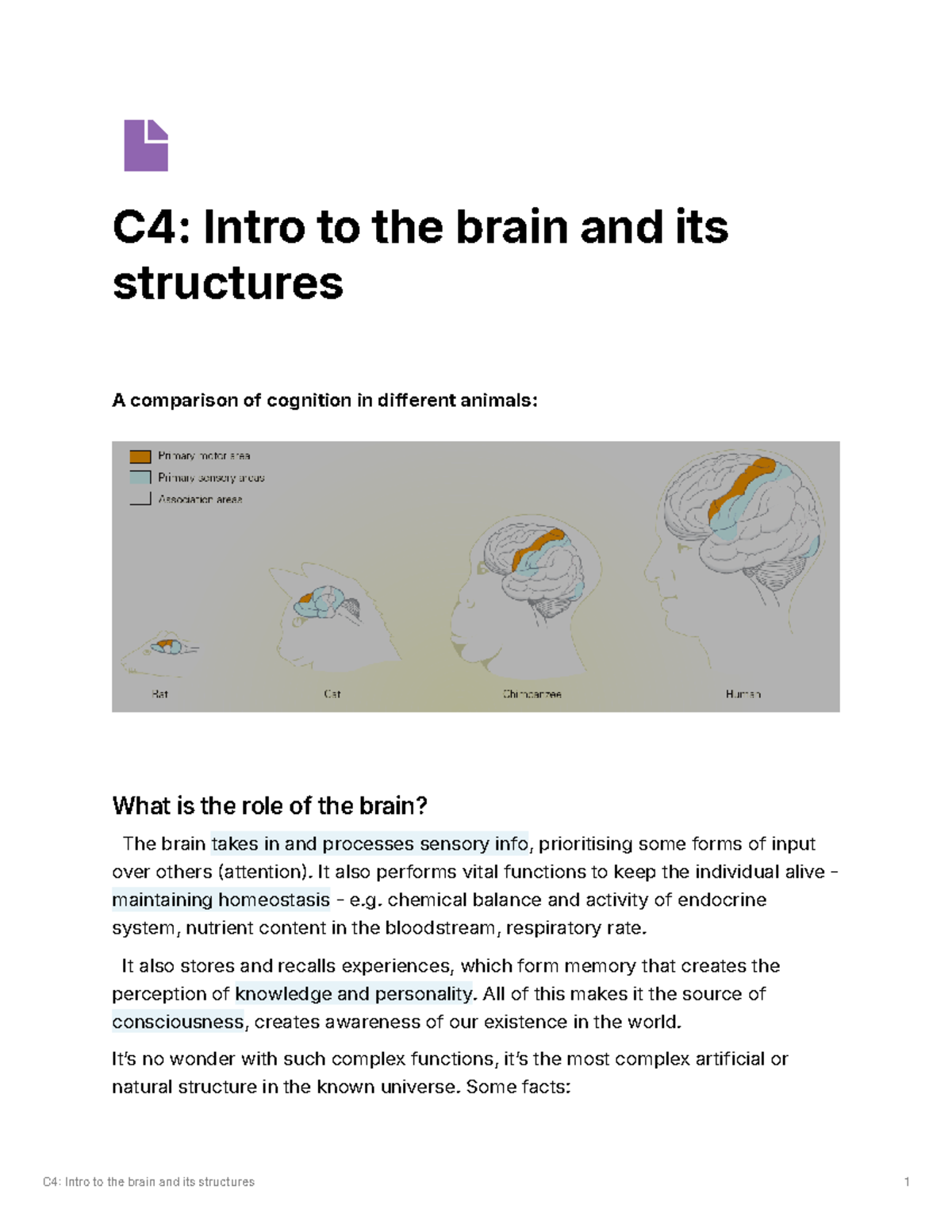 C4 Intro - Chapter 4 Jacaranda textbook - C4 Intro to the brain and its ...
